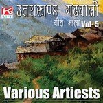 Utrakhandi Garhwali Geet Mala Vol-5 - Meena Rana Song Download